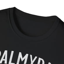 Load image into Gallery viewer, SS T-Shirt, Palmyra - Multi Colors
