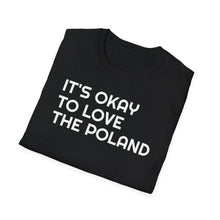 Load image into Gallery viewer, T-Shirt, It&#39;s Okay to Love Poland - Multi Colors
