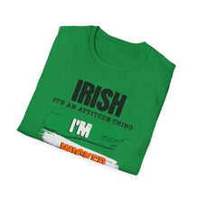 Load image into Gallery viewer, SS T-Shirt, Irish Wicked
