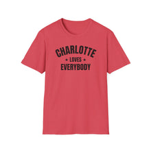 Load image into Gallery viewer, SS T-Shirt, NC Charlotte - Multi Colors
