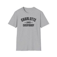 Load image into Gallery viewer, SS T-Shirt, NC Charlotte - Multi Colors
