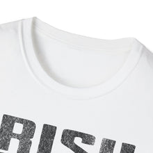 Load image into Gallery viewer, T-Shirt, Irish Need Not Apply - Multi Colors
