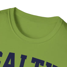 Load image into Gallery viewer, SS T-Shirt, Salty - Multi Colors
