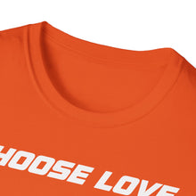 Load image into Gallery viewer, SS T-Shirt, Choose Love - Multi Colors
