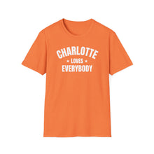 Load image into Gallery viewer, SS T-Shirt, NC Charlotte - Basic - Multi Colors
