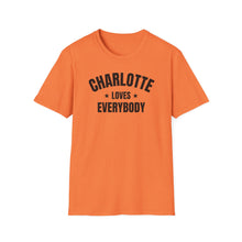 Load image into Gallery viewer, SS T-Shirt, NC Charlotte - Multi Colors
