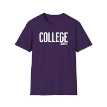 Load image into Gallery viewer, SS T-Shirt, College (College) - Multi Colors
