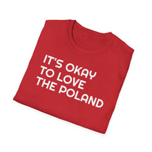 Load image into Gallery viewer, T-Shirt, It&#39;s Okay to Love Poland - Multi Colors
