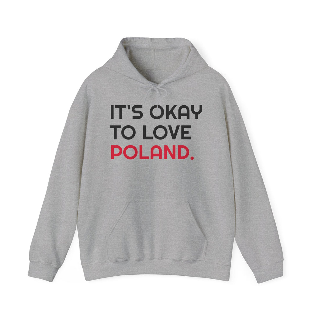 Hoodie, It's Okay to Love Poland