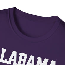 Load image into Gallery viewer, SS T-Shirt, Alabama, Would Not Recommend - Multi Colors
