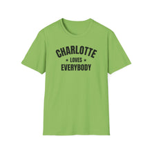 Load image into Gallery viewer, SS T-Shirt, NC Charlotte - Multi Colors
