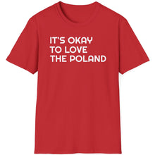 Load image into Gallery viewer, T-Shirt, It&#39;s Okay to Love Poland - Multi Colors
