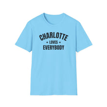 Load image into Gallery viewer, SS T-Shirt, NC Charlotte - Multi Colors
