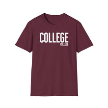 Load image into Gallery viewer, SS T-Shirt, College (College) - Multi Colors
