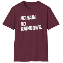 Load image into Gallery viewer, SS T-Shirt, No Rain. No Rainbows. - Multi Colors
